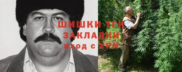 твердый Арсеньев