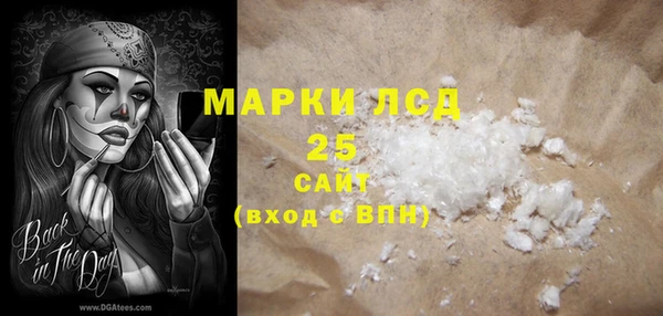 твердый Арсеньев