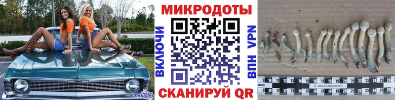 Псилоцибиновые грибы MAGIC MUSHROOMS  Купить где  Кандалакша 